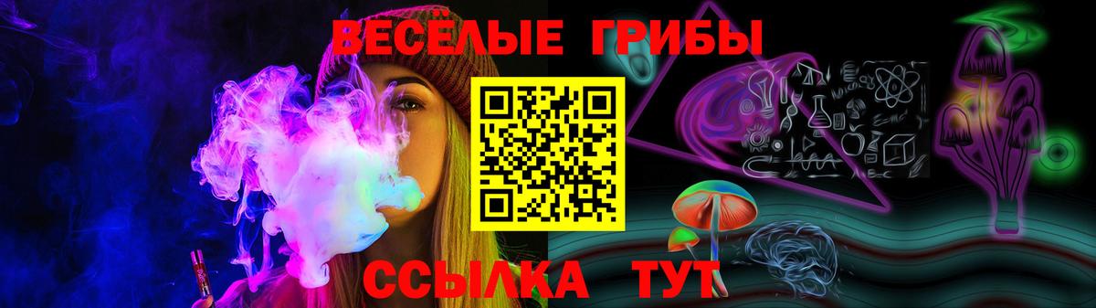 Псилоцибиновые грибы Cubensis  Вход с VPN  Киров 